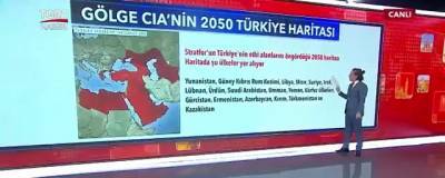 В Госдуме прокомментировали заявление Турции о расширении территории к 2050 году