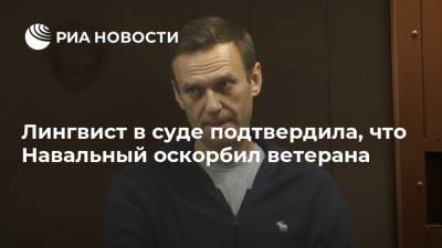 Лингвист в суде подтвердила, что Навальный оскорбил ветерана