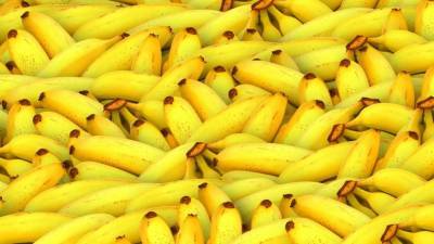 Перебои в поставках бананов не повлияют на российских животных