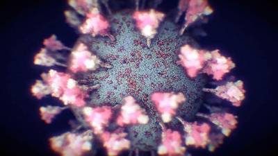 Ученый подсчитал объем частиц коронавируса в мире