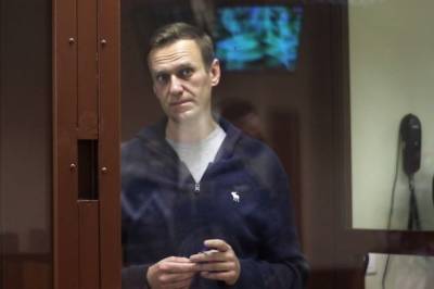Лингвист подтвердила в суде, что Навальный оскорбил ветерана