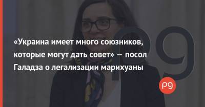 «Украина имеет много союзников, которые могут дать совет» — посол Галадза о легализации марихуаны