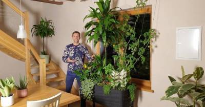Советы специалиста: как самостоятельно создать идеальную почву для комнатных растений