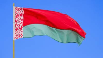 Белорусский референдум по Конституции могут совместить с местными выборами