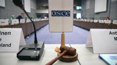 В ОБСЕ призвали Киев и Ригу сохранять плюрализм в СМИ