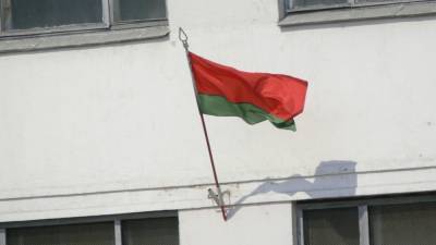 Власти Белоруссии могут совместить местные выборы и референдум по Конституции