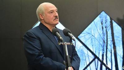 Лукашенко предложил совместить референдум по Конституции и выборы в Белоруссии
