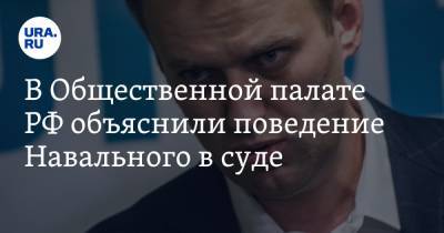 В Общественной палате РФ объяснили поведение Навального в суде