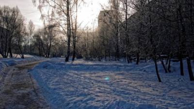 В минус 15: россиянка оставила своих детей замерзать в лесу