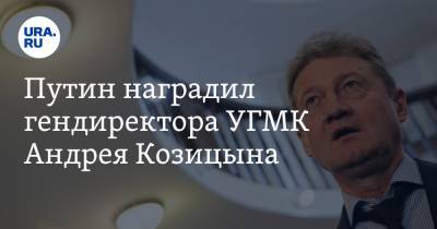 Путин наградил гендиректора УГМК Андрея Козицына