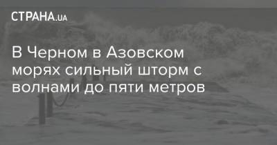В Черном в Азовском морях сильный шторм с волнами до пяти метров