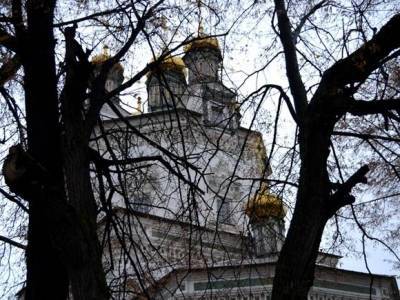 В Ленобласти мужчина вынес из монастыря мощи Матроны и продал за 500 рублей