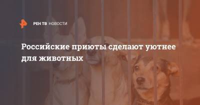 Российские приюты сделают уютнее для животных