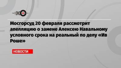 Мосгорсуд 20 февраля рассмотрит апелляцию о замене Алексею Навальному условного срока на реальный по делу «Ив Роше»