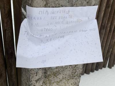YouTube-канал девочки из села во Львовской области стал популярным после написанного от руки объявления на столпе. Теперь там 29 тыс. подписчиков