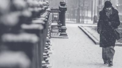 Москва установила рекорд по снежным осадкам в пятницу