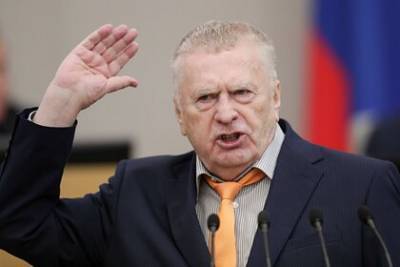 Жириновский заявил о влиянии публичных домов на снижение количества убийств