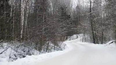 Бизнесмен Клюев пообещал позаботиться о брошенных в лесу зимой детях