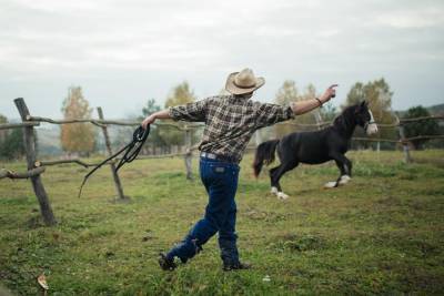 Украинец вернулся из Америки и построил настоящее ранчо: впечатляющие фото, видео