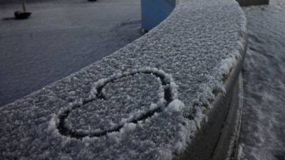 "Такое первый раз": жители Подмосковья удивились последствиям снегопада