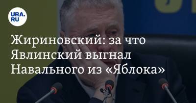Жириновский: за что Явлинский выгнал Навального из «Яблока». «Работает, как специалист»