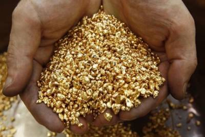 Золотодобывающая компания в Забайкалье заплатила 52 млн р. за нелегальную добычу