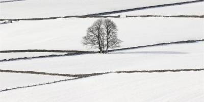 Снегопады в Украине: 64 населенных пункта остались без электроснабжения