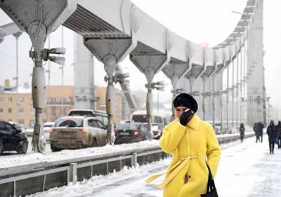 "Это настоящая буря, Армагеддон, апокалипсис": снегопад в Москве