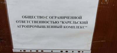Подозреваемый в мошенничестве резидент ТОСЭР в Карелии отказался от комментариев