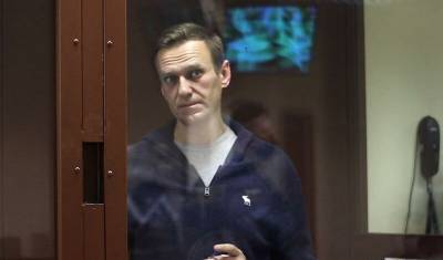 Суд отложил рассмотрение дела Навального о клевете на ветерана