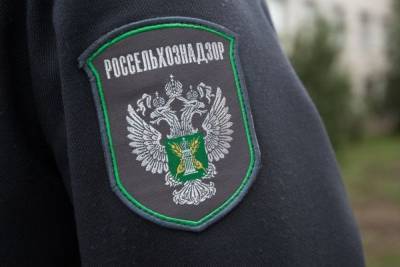 В Ивановской области местные власти предостерегли от нарушения закона