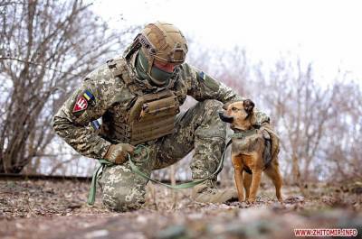 Украинские военные снялись в фотосессии с бездомными животными: трогательные кадры
