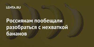 Россиянам пообещали разобраться с нехваткой бананов