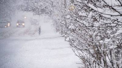 Таким зимний Крым вы не видели давно: фото рекордного снегопада