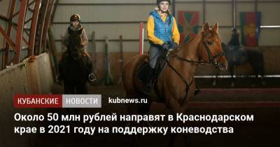 Около 50 млн рублей направят в Краснодарском крае в 2021 году на поддержку коневодства