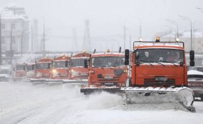 Рекордный снегопад «высыпал» на Москву 65% месячной нормы осадков