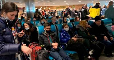 В Домодедово предупредили о возможных задержках рейсов из-за снегопада