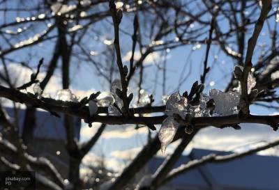 В Гидрометцентре спрогнозировали холодный март для россиян