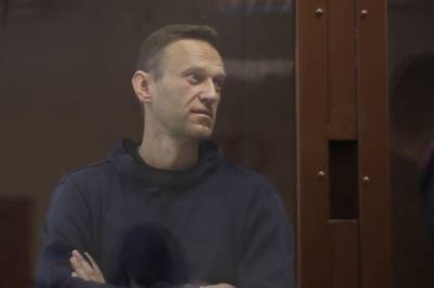 Навальный попросил Совет Европы принудить российские власти исполнить решения ЕСПЧ