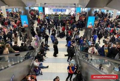 Пассажиры рассказали о ситуации в Домодедове из-за отменённых рейсов