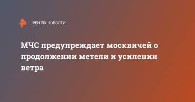 МЧС предупреждает москвичей о продолжении метели и усилении ветра