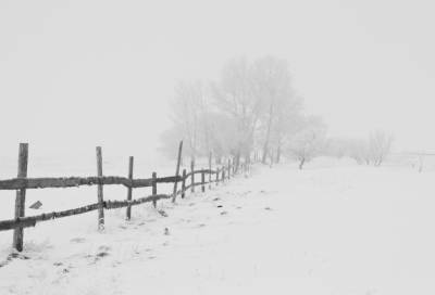 Небольшой снег и до -24 градусов обещают в Ленобласти 14 февраля