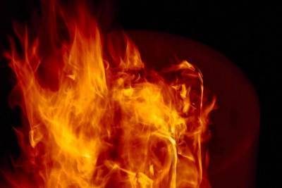 6 пожарных тушили загоревшийся автомобиль в Пскове
