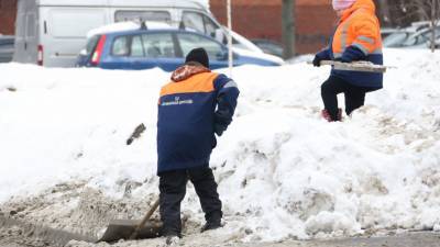 Власти Москвы рассказали, сколько времени займет уборка снега