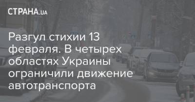Разгул стихии 13 февраля. В четырех областях Украины ограничили движение автотранспорта