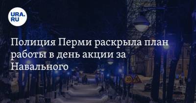 Полиция Перми раскрыла план работы в день акции за Навального