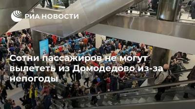 Сотни пассажиров не могут вылететь из Домодедово из-за непогоды