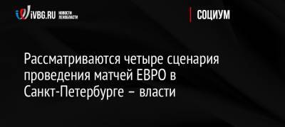 Рассматриваются четыре сценария проведения матчей ЕВРО в Санкт-Петербурге – власти