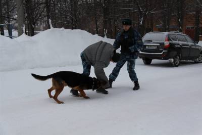 Житель поселка Белый Ключ попался на «закладках» в Ульяновске