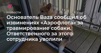 Основатель Baza сообщил об извинениях «Аэрофлота» за травмирование собаки. Ответственного за этого сотрудника уволили